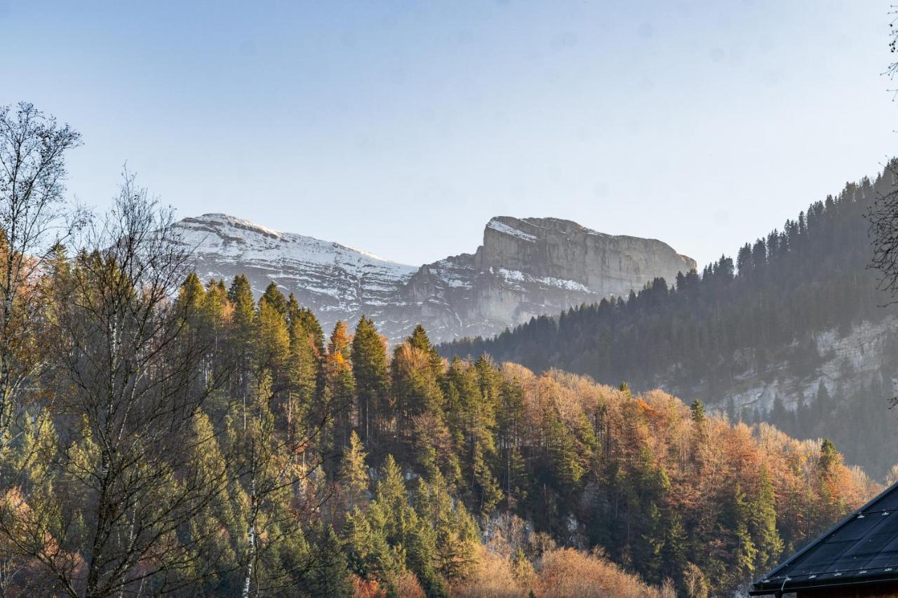 D'Alpenapartments Безау Экстерьер фото